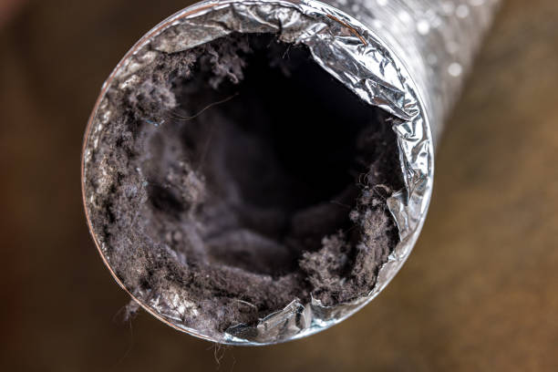 Best General Air Duct Cleaning  in Miami Springs, FL
