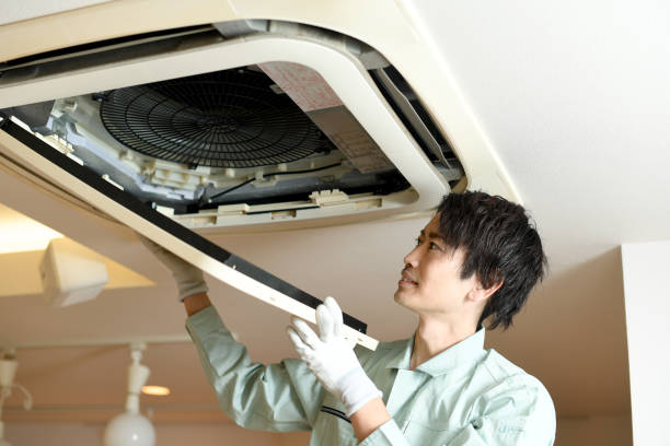 Best Affordable Duct Cleaning Services  in Miami Springs, FL